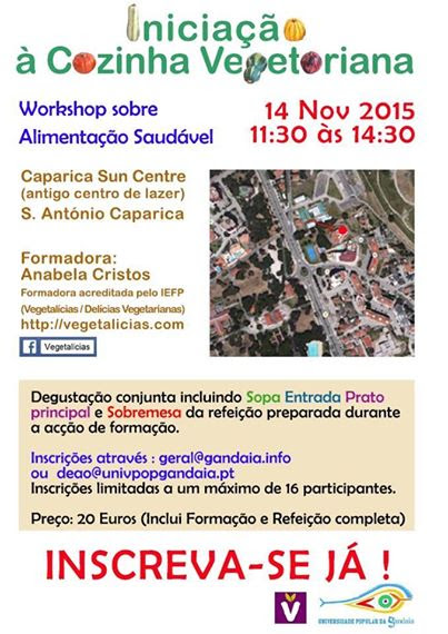 workshop-CaparicaSunCenter